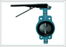 SS valve check valves manufacturers