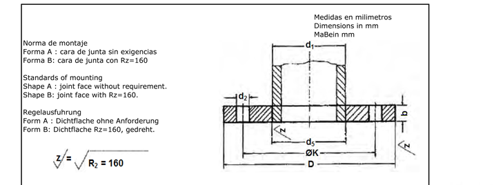 Din 2573 flanges manufacturers