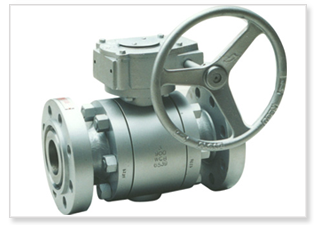 Trunnion Ball Valves manufacturers