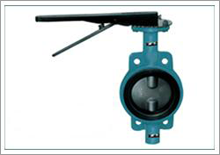 SS crane valves manufacturers