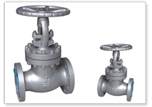 Globe Valves manufacturers