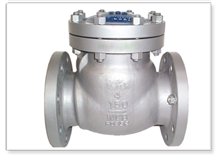 Check Valves manufacturers