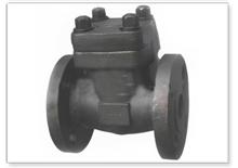 Check Valves manufacturers