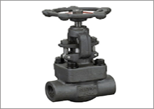 Globe Valves manufacturers