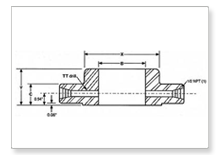 Orifice Union B 16.36 Flanges manufacturers