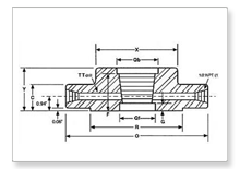 Orifice Union B 16.36 Flanges manufacturers