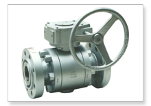 Valve Valves manufacturers