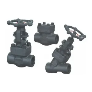 Forged Check Valves