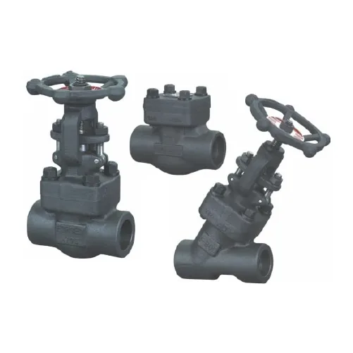 Forged Check Valves