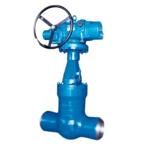 Pressure Seal Gate Valves