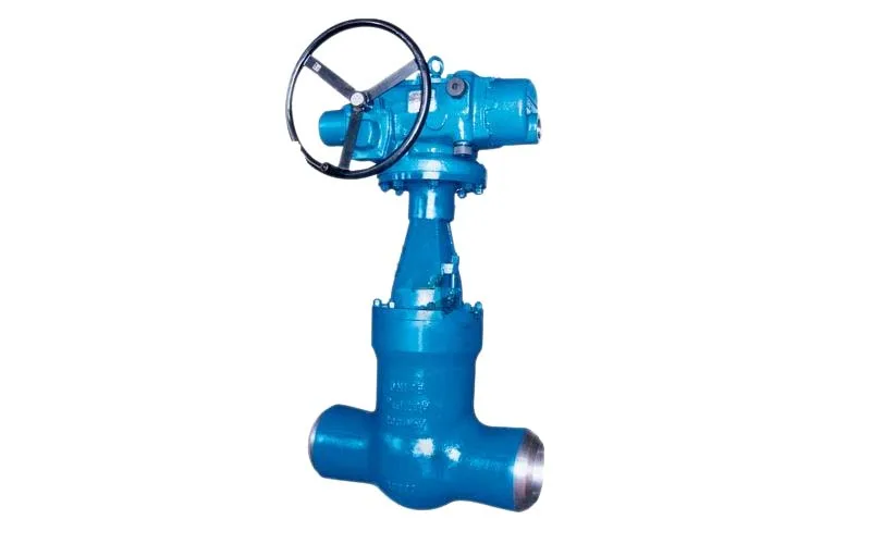 Pressure Seal Gate Valves