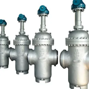 Through Conduit Gate Valves